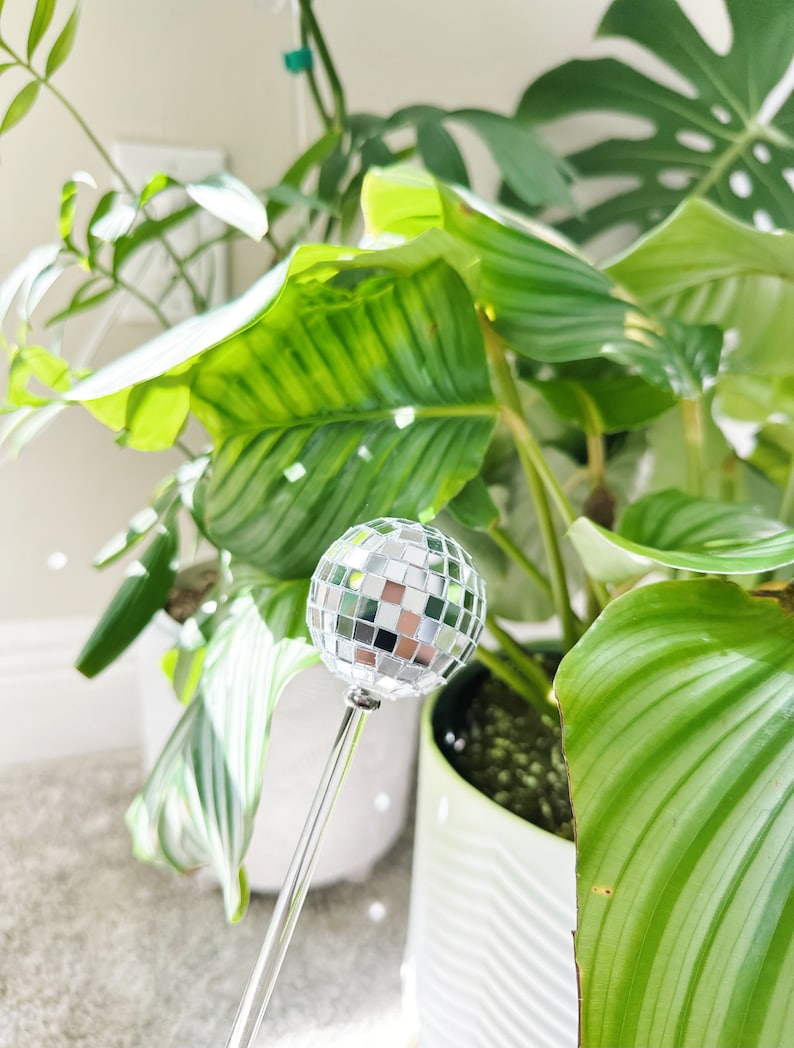 May include: A silver disco ball ornament on a silver stick, surrounded by green leafy plants.