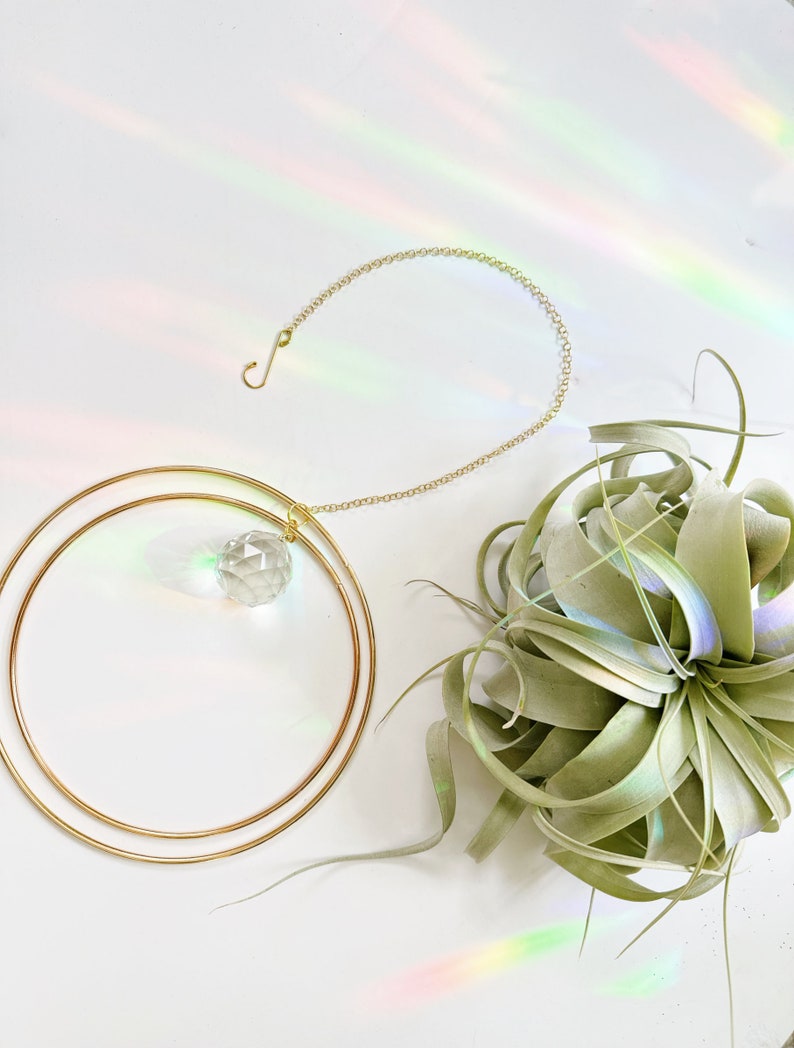 May include: A gold chain with a crystal ball hanging from two gold hoops. The chain has a hook at the end. The crystal ball is clear and reflects light. The chain is hanging from a green air plant.