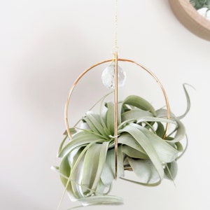May include: A gold metal hanging planter with a crystal prism. The planter is holding a green air plant.