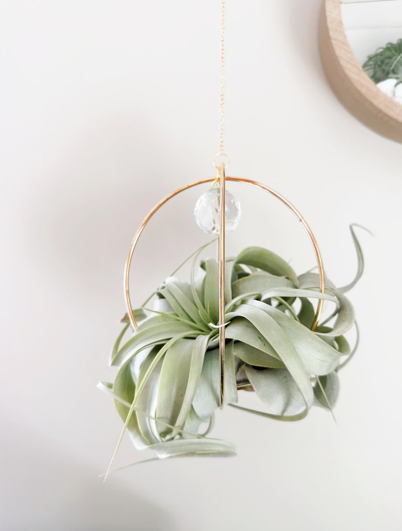 May include: A gold metal hanging planter with a crystal prism. The planter is holding a green air plant.