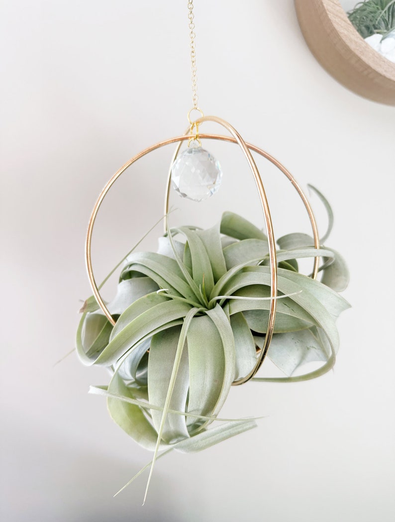 May include: A gold metal sphere with a crystal prism hanging from the top. A green air plant is inside the sphere.