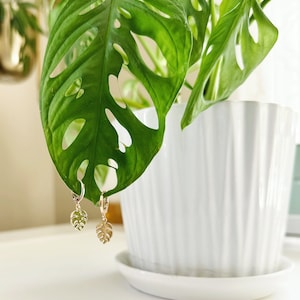 May include: Gold hoop earrings with a small, detailed monstera leaf charm hanging from each hoop. The earrings are displayed against a green monstera plant.