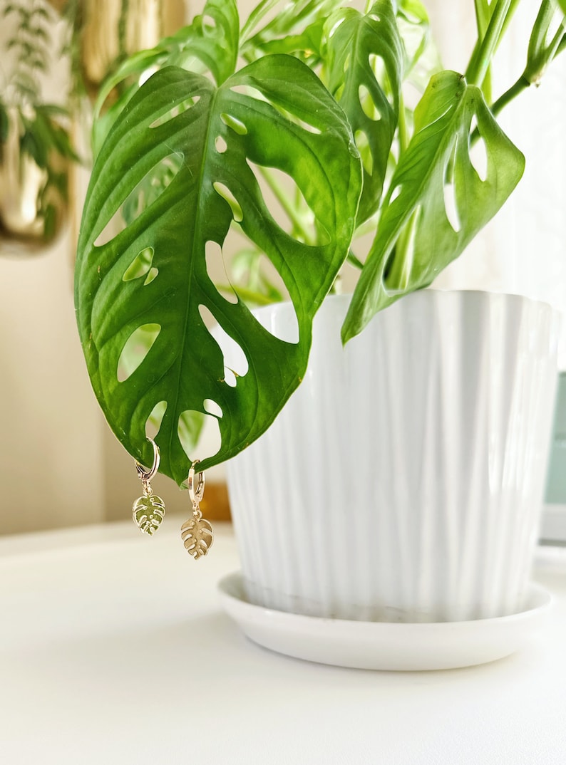 May include: Gold hoop earrings with a small, detailed monstera leaf charm hanging from each hoop. The earrings are displayed against a green monstera plant.