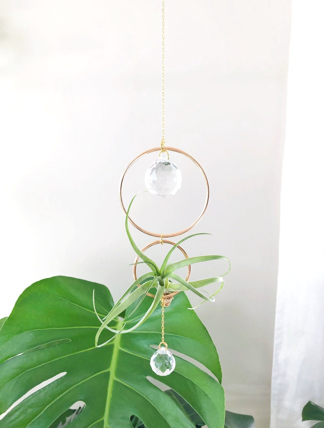 Suncatcher Prism Air Plant Hanger, Crystal Suncatcher, Air Plant Holder