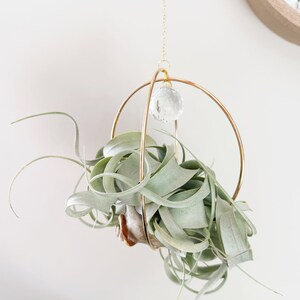 May include: A gold metal hanging planter with a crystal orb and a green air plant inside.