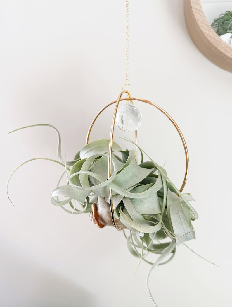 May include: A gold metal hanging planter with a crystal orb and a green air plant inside.
