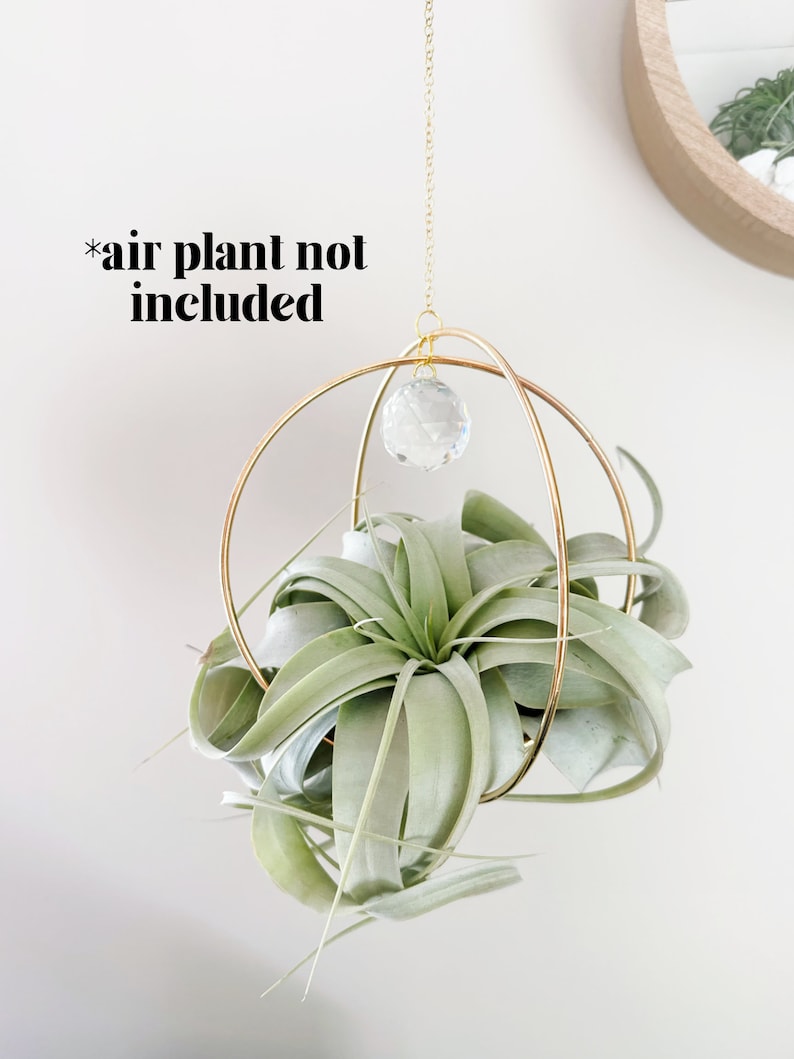 May include: Gold metal hanging planter with two hoops and a crystal prism. The planter is empty, *air plant not included*.
