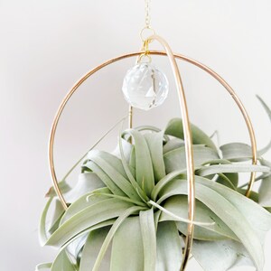May include: A green air plant hanging in a gold metal geometric planter with a crystal prism hanging from the top.