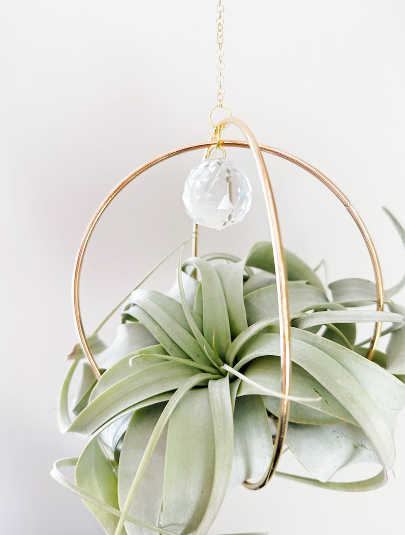 May include: A green air plant hanging in a gold metal geometric planter with a crystal prism hanging from the top.
