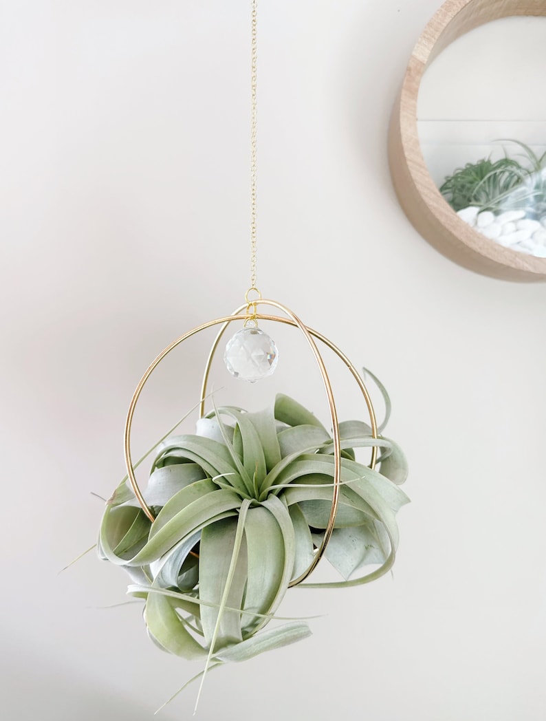 May include: A gold metal hanging planter with a crystal orb and a green air plant. The planter is suspended from a gold chain.