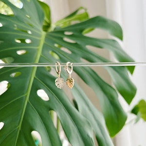 May include: A pair of gold hoop earrings with a small, delicate monstera leaf charm hanging from each hoop.