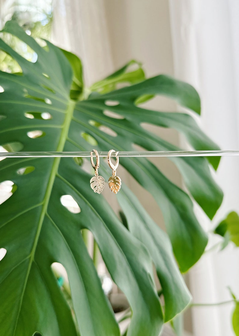 May include: A pair of gold hoop earrings with a small, delicate monstera leaf charm hanging from each hoop.