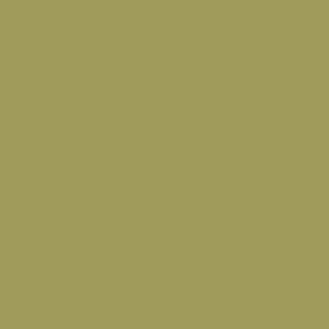 May include: A solid, plain, olive green background.