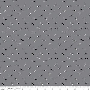 Spooky Hollow - Eyeballs Glow in the Dark- Melissa Mortenson - Riley Blake Designs - GC10576 Gray - 100% Cotton Quilting Fabric - Halloween