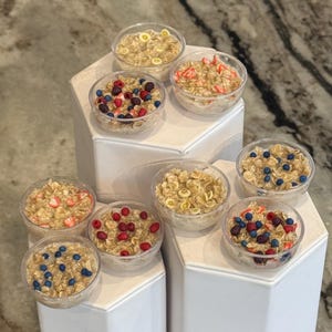 1:3 oatmeal for doll,  1/4 oatmeal bowl for dolls, 15” thru 18” doll oatmeal, mini oatmeal for doll, doll food, cereal for dolls, 16” doll