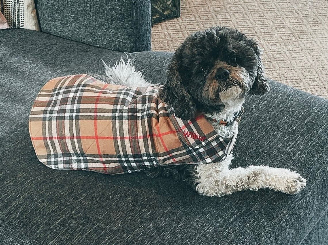Burberry Inspired Dog Jacket 4 Sizes available Etsy