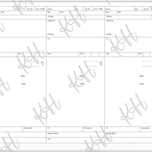 Nurse Brain Handoff Report Sheet - Digital PDF