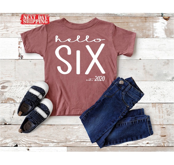 Hello Six Birthday Shirt, 6th Birthday Party Gift Tee, Youth Bday
