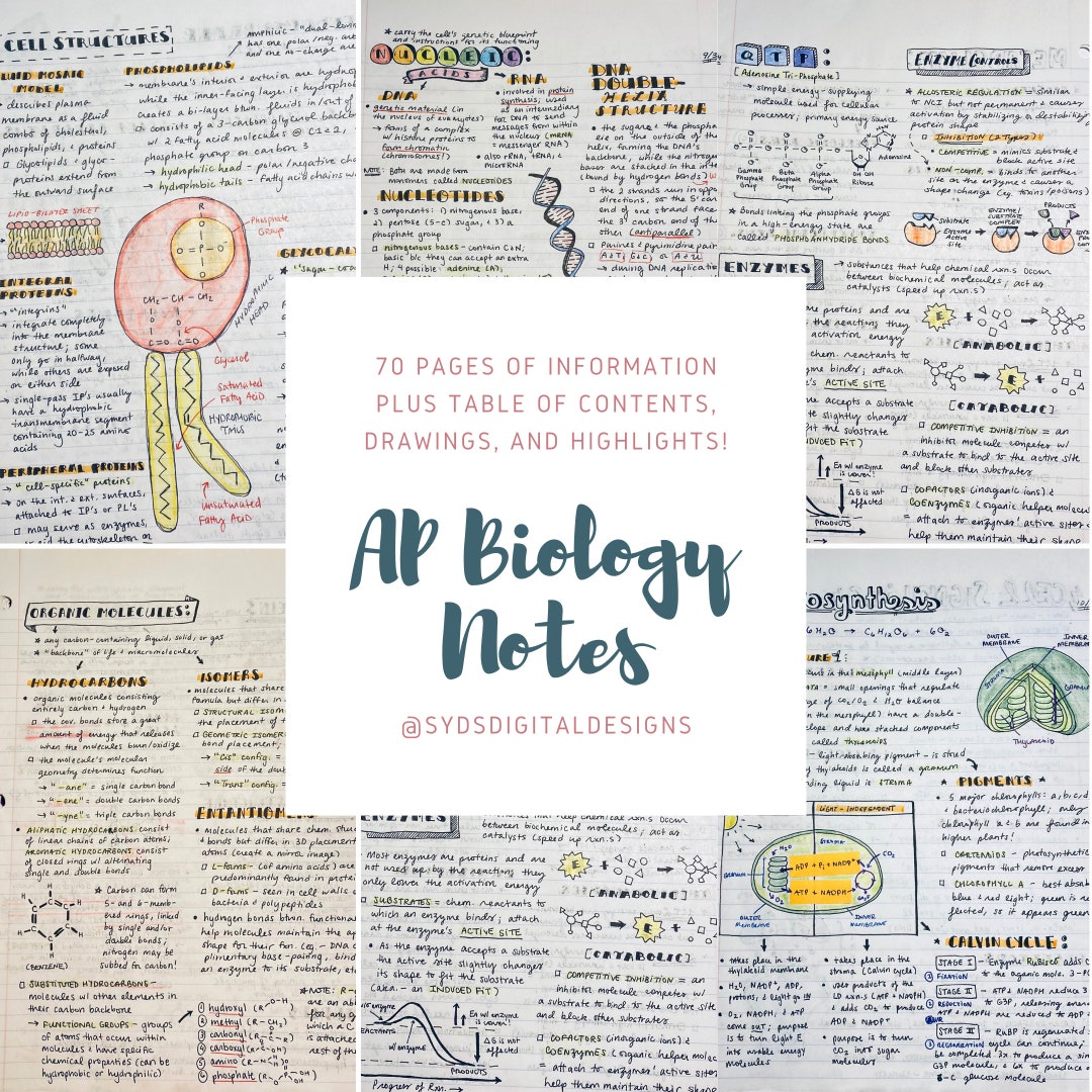 AP Biology Notes 70 Pages Etsy