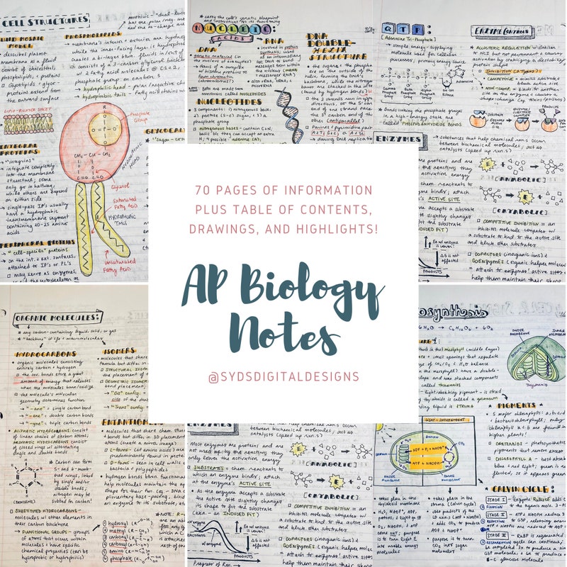 Biology - Etsy