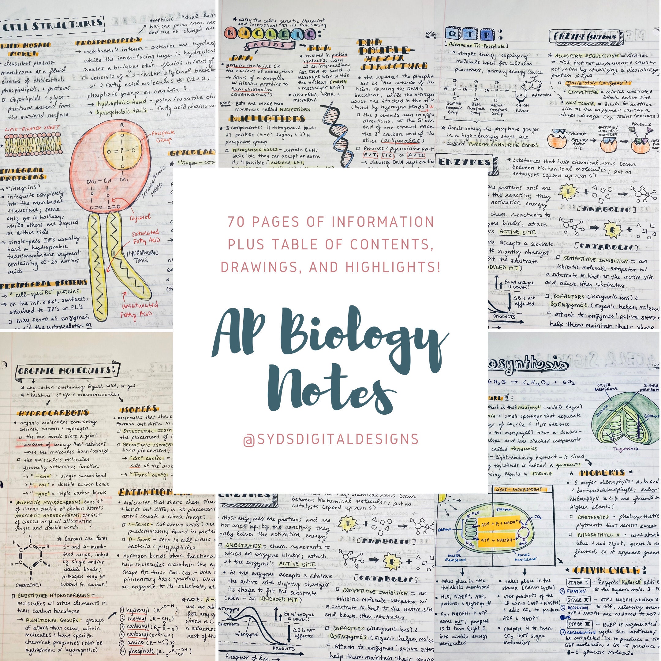 AP Biology Notes 70 Pages Etsy UK ap-biology-notes-70-pages-etsy-uk