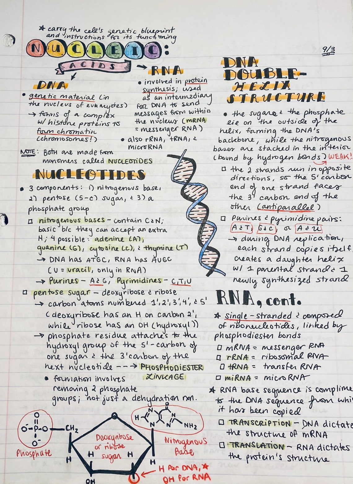 research biology notes