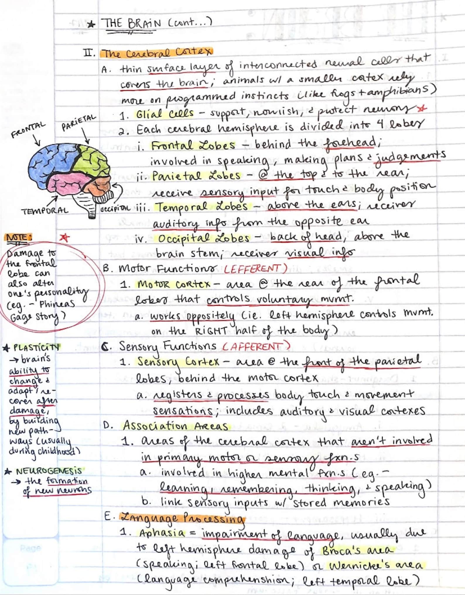 The Ultimate Guide To The Phi Phenomenon (Ap Psychology) - r43qa9r
