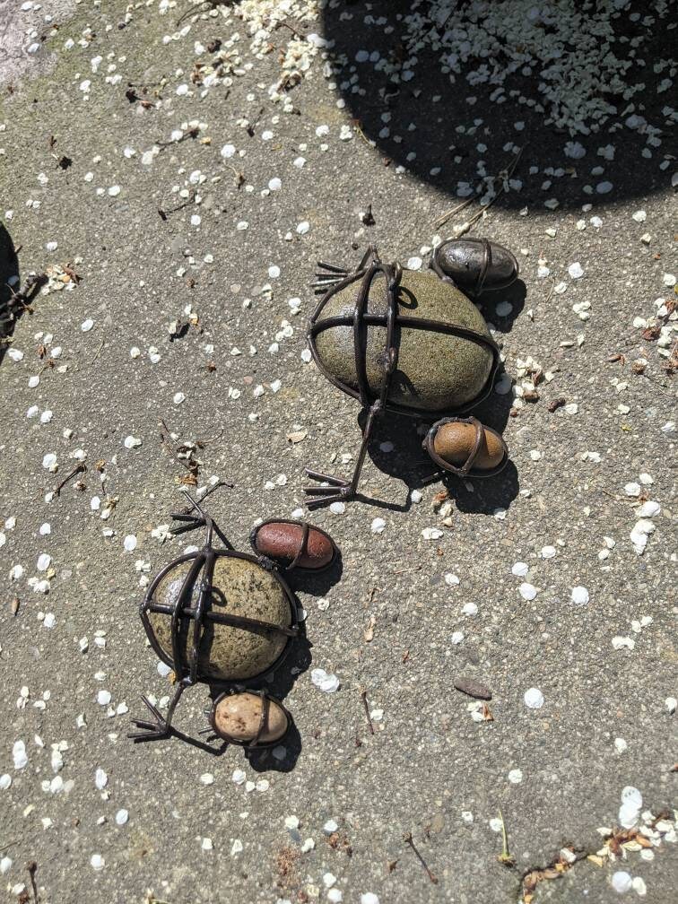 Decoración de rana conjunto de 2 | Etsy