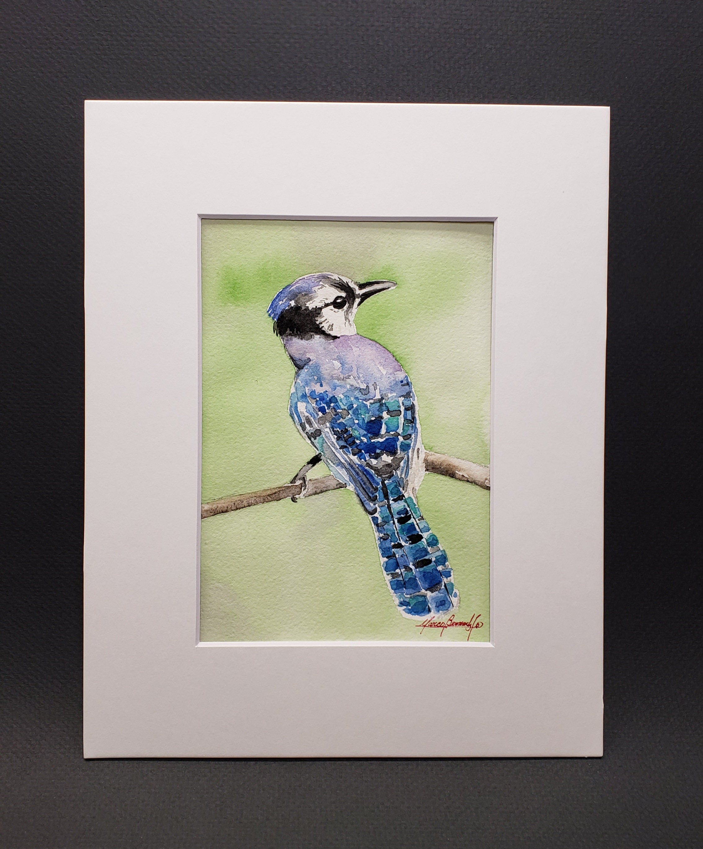 Blue Jay Wall Decor Wall Art Home Decor Office Decor Etsy