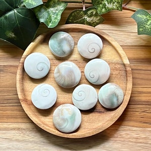May include: A collection of eight round, polished, white and green stones with a spiral pattern. The stones are arranged on a wooden plate.