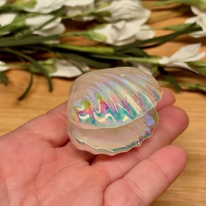 May include: A small, iridescent seashell ornament featuring a glossy, pearlescent finish with shifting rainbow hues of blue, green, and pink. The shell is shaped like a bivalve with a scalloped edge and a smooth, reflective surface texture.