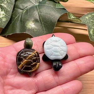 Tiny Turtle - 2 Styles -Tiger's Eye Shell or Caribbean Calcite Shell