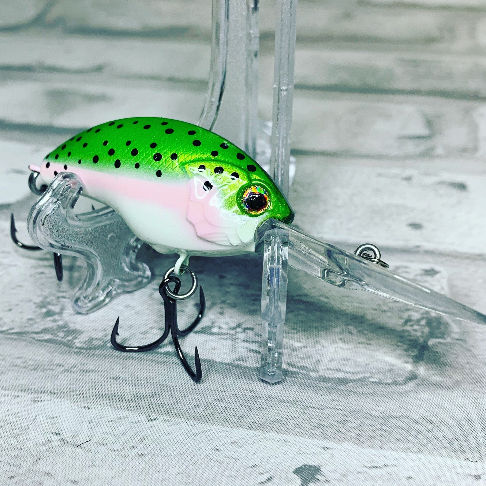 Rainbow Trout Deep Diving Crankbait Etsy