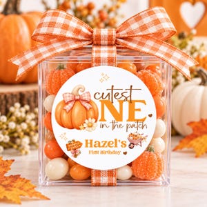 May include: A clear square box filled with orange and white candies, topped with an orange and white gingham ribbon. A circular label features a pumpkin illustration, the text "cutest ONE in the patch", "Hazel's", and "First Birthday".