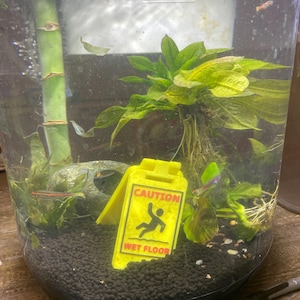 Caution Wet Floor - Aquarium / Reptile / Fish / Arachnid / Sink Without Weight |