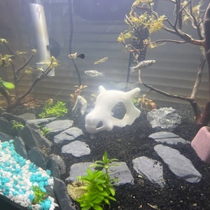 Cubone Skull Hideaway For Aquarium / Reptile / Fish / Arachnid / Sink Without Weight |