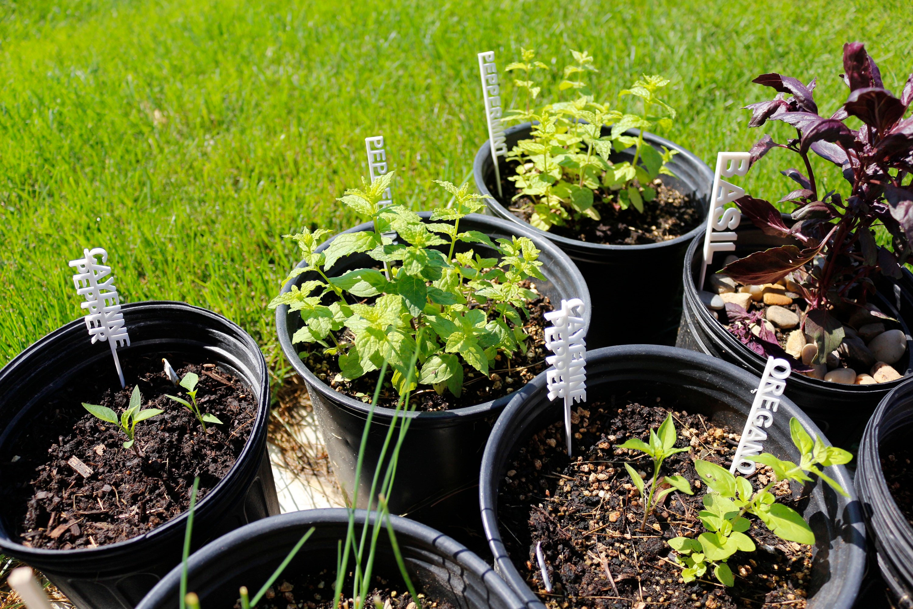 Estacas de plantas de jardín personalizadas | Etsy