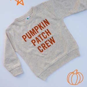 May include: A beige sweatshirt with the text "Pumpkin Patch Crew" in orange lettering. The sweatshirt is on a white background with orange star cutouts.