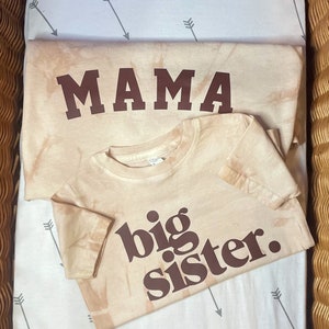 Big Sister T-shirt, Promoted to Big Sister T-Shirt, Baby Announcement T-Shirt, Retro Big Sister Shirt, Matching Sister Shirts