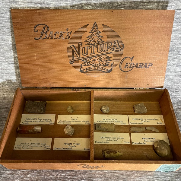 Old Cigar box from NY filled with Bone &Rock Collection #124
