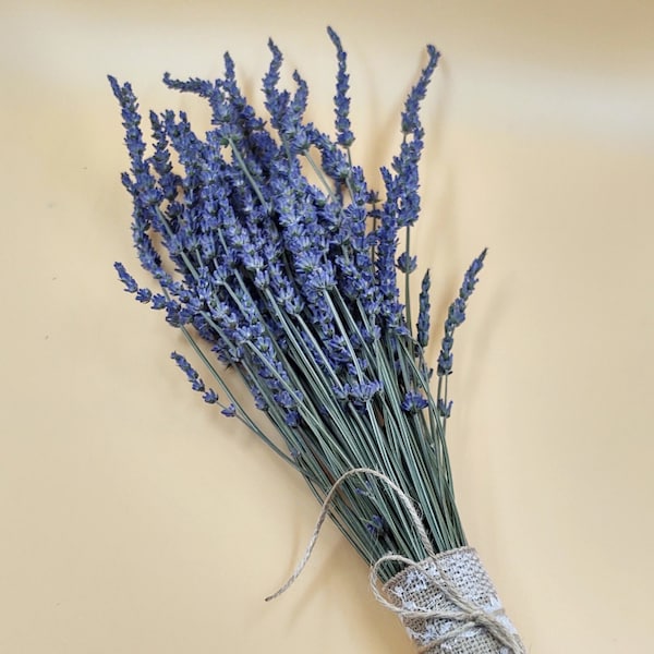 Dried Lavender Bundle/Bunch/Bouquet - 2023 Harvest - Tall French Lavender, dried flowers, Illinois Lavender, Farmhouse Decor