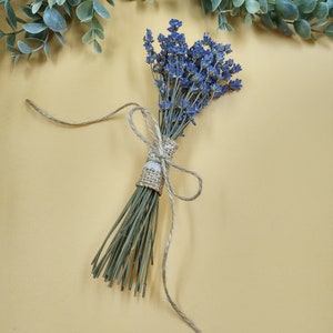 Small dry lavender bundle/bunch/bouquet - 2025 Harvest, English Lavender, Illinois Lavender, Dried Lavender Flowers