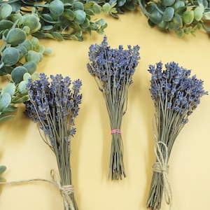 Dried Lavender Mini Bundle/Bunch/Bouquet - 2023 Harvest, English Lavender, Illinois Lavender, Dried Lavender Flowers