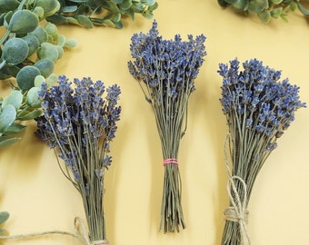 Dried Lavender Mini Bundle/Bunch/Bouquet - 2023 Harvest, English Lavender, Illinois Lavender, Dried Lavender Flowers