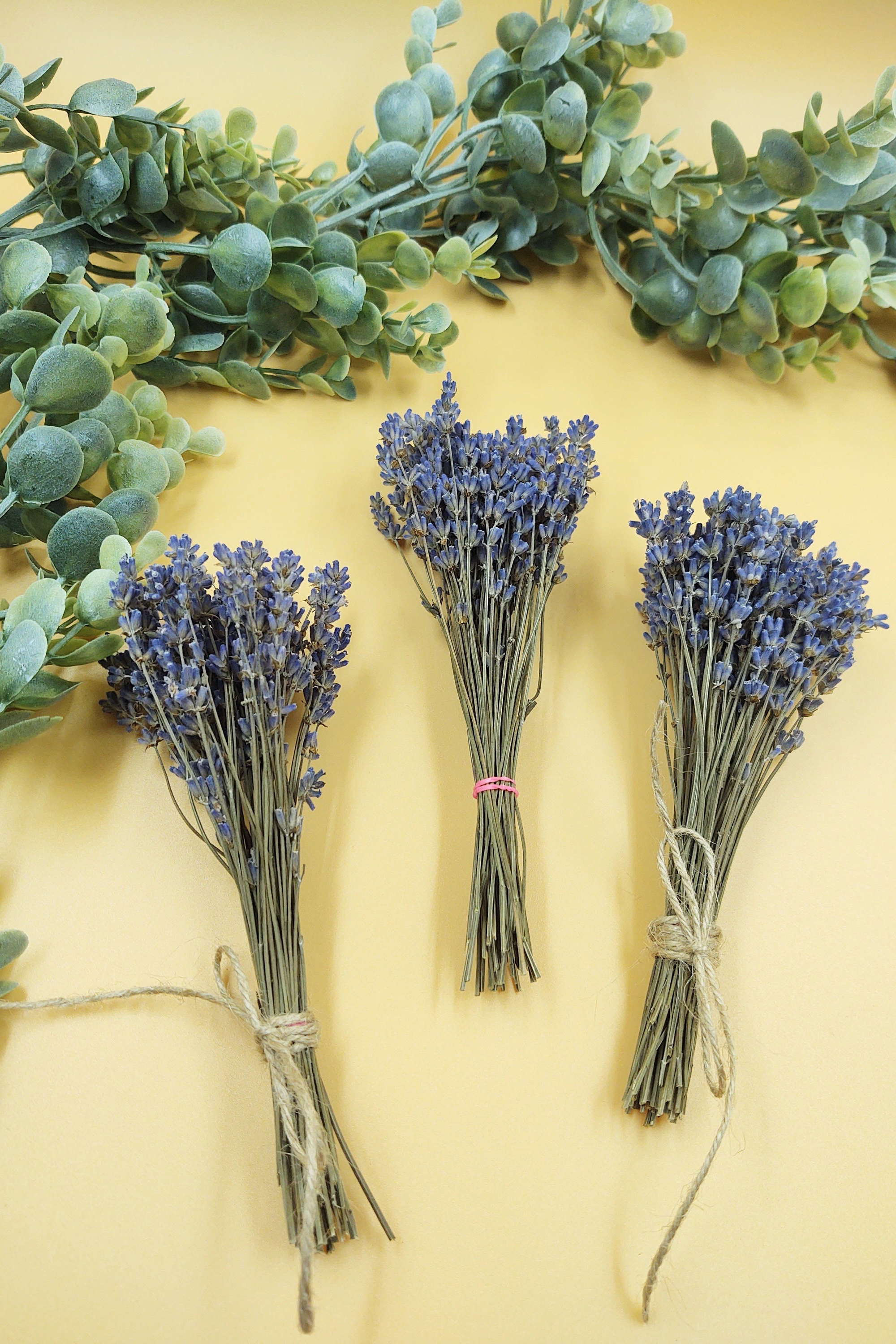 Lavender Haze Mini Dried Bouquet – Little Pop Color Shop