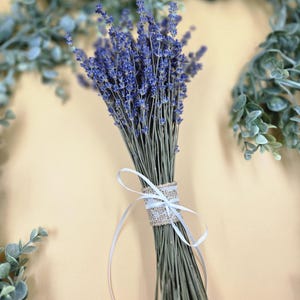 Dried Lavender Bundle/Bunch/Bouquet - Approximately 100+ Stems, English Lavender, Dry Bundle of Lavender, Illinois Lavender, Floral Bouquet
