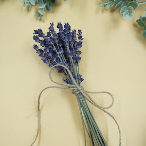 Dried Lavender Mini Bundle/Bunch/Bouquet - English Lavender Royal Velvet, Illinois Lavender, Dried Lavender Flowers, Small purple bouquet