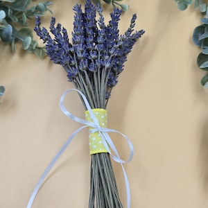 May include: A bundle of dried lavender with vibrant purple flower heads. The stems are bound with a yellow ribbon featuring white polka dots and tied with a white satin ribbon. The background is a light beige color.