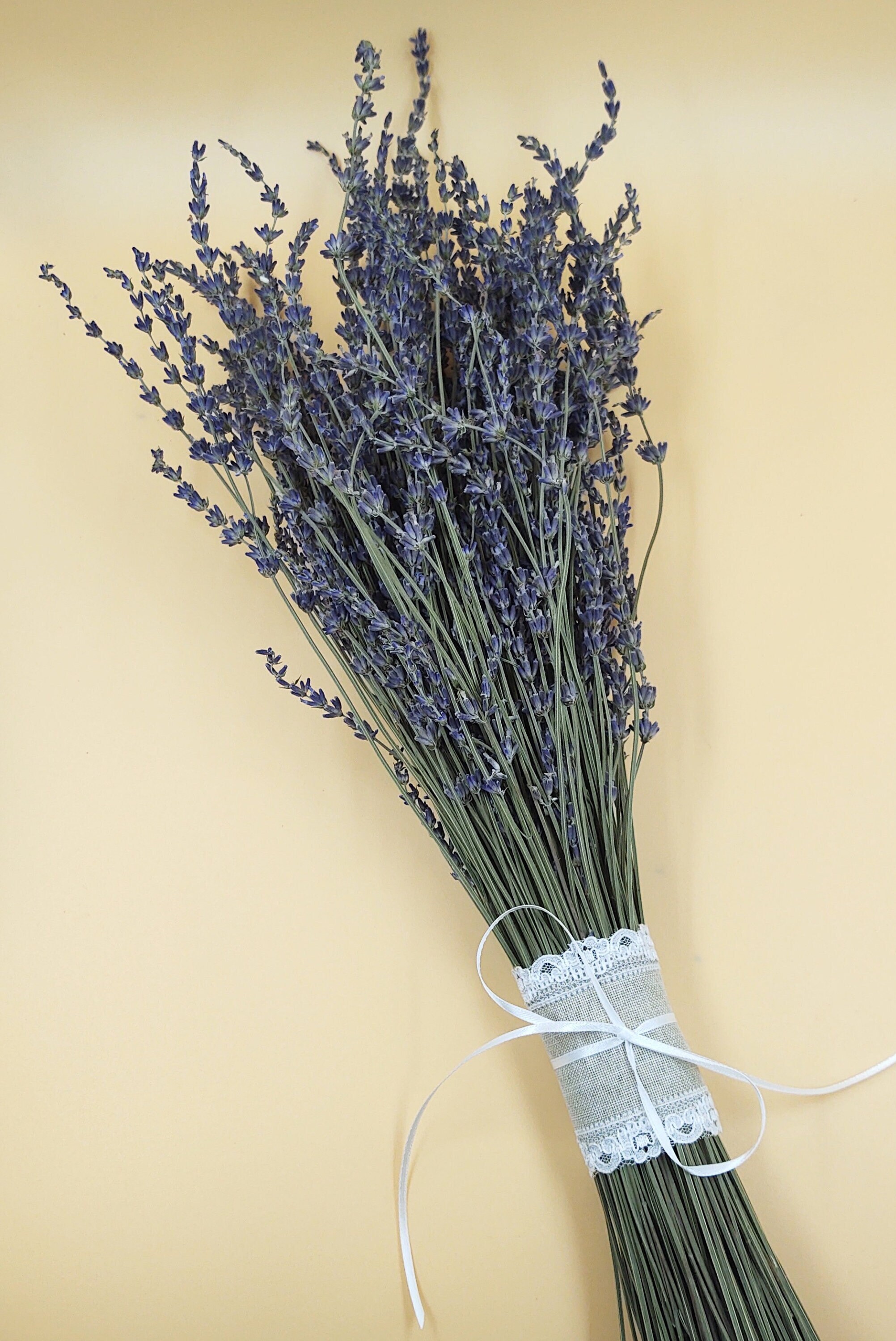 Dried Lavender Bundle/bunch/bouquet 2023 Harvest Tall French