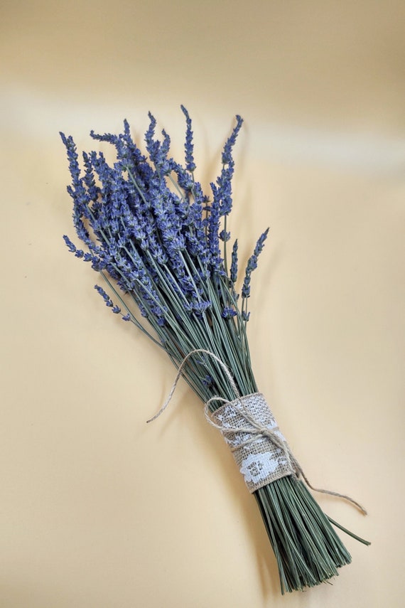 Dried Lavender Bundle/bunch/bouquet 2023 Harvest Tall French